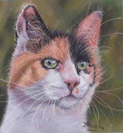 Poes,2026,pastelpotlood, 17x18 cm